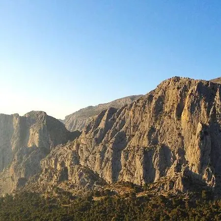 La Teja