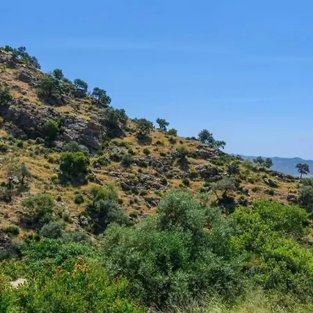 La Teja *